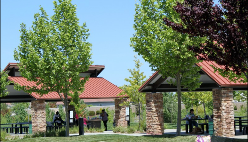 Wise Family Reunion Picnic at Stone Creek Park